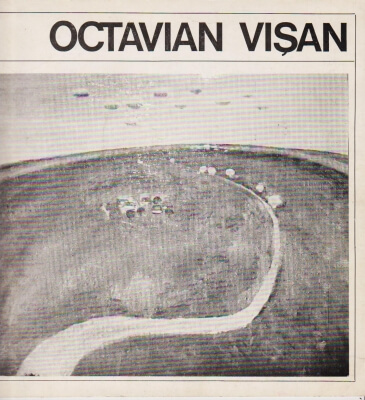 Octavian Visan