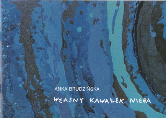 Budzińska Anka Własny kawałek nieba 205751.