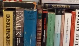 literatura