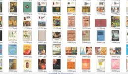 import-in-progress