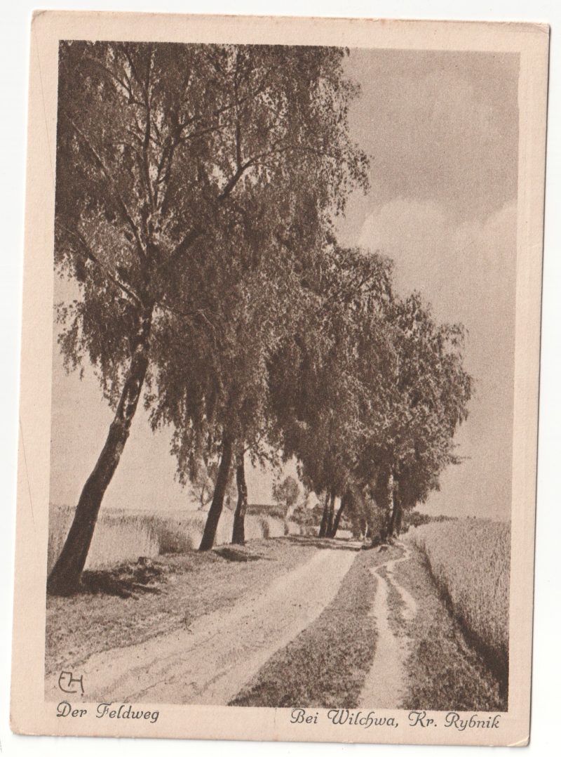 WILCHWY Wilchwa Kr. RYBNIKA Droga polna