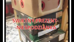 karton-ksiazek