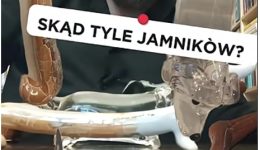 jamniki