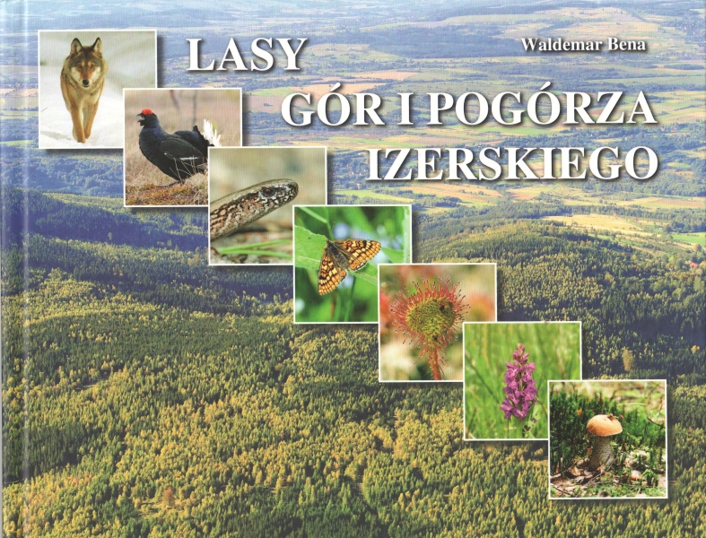 Bena Waldemar Lasy gór i Pogórza Izerskiego 154195.