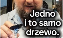 jedno i to samo drzewo