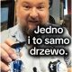 jedno i to samo drzewo