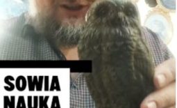 sowia nauka