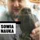 sowia nauka